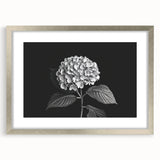 Botanical wall art featuring a hydrangea design in a sleek silver frame with a mat, ideal for home decor. Perfect for adding a touch of elegance to any room.