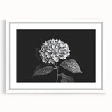 Framed botanical wall art featuring a delicate hydrangea design with a white mat, enhancing any interior decor with its elegant floral aesthetic.