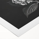 Vibrant botanical wall art design showcasing a cluster of hydrangeas in soft pastel colors, printed on rolled canvas, ideal for home decor or gallery display.