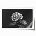 Botanical wall art print featuring vibrant blue and pink hydrangea flowers on a textured background, ideal for home decor and floral enthusiasts.