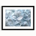 Black-framed wall art featuring a botanical hydrangea design, showcasing intricate flower details and vibrant colors, perfect for home decor enhancement.