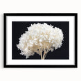 Elegant black-framed wall art showcasing a botanical hydrangea design, featuring vibrant flowers and intricate details, perfect for home decor enhancement.