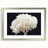 Elegant botanical wall art featuring a hydrangea design in a silver frame with matting, showcasing vibrant colors and intricate floral details, perfect for home decor.