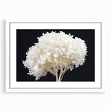 Botanical wall art showcasing a stunning hydrangea design in a white frame with a mat, perfect for adding elegance to any decor. Ideal for floral enthusiasts.