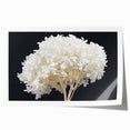 Hydrangea floral wall art print showcasing vibrant blue and white blossoms with intricate details, rolled and ready for elegant home decor display. Perfect for enhancing interior aesthetics.