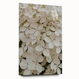Botanical wall art showcasing a side view of a hydrangea design in vibrant colors, elegantly displayed in acrylic glass, perfect for home decor enhancement.