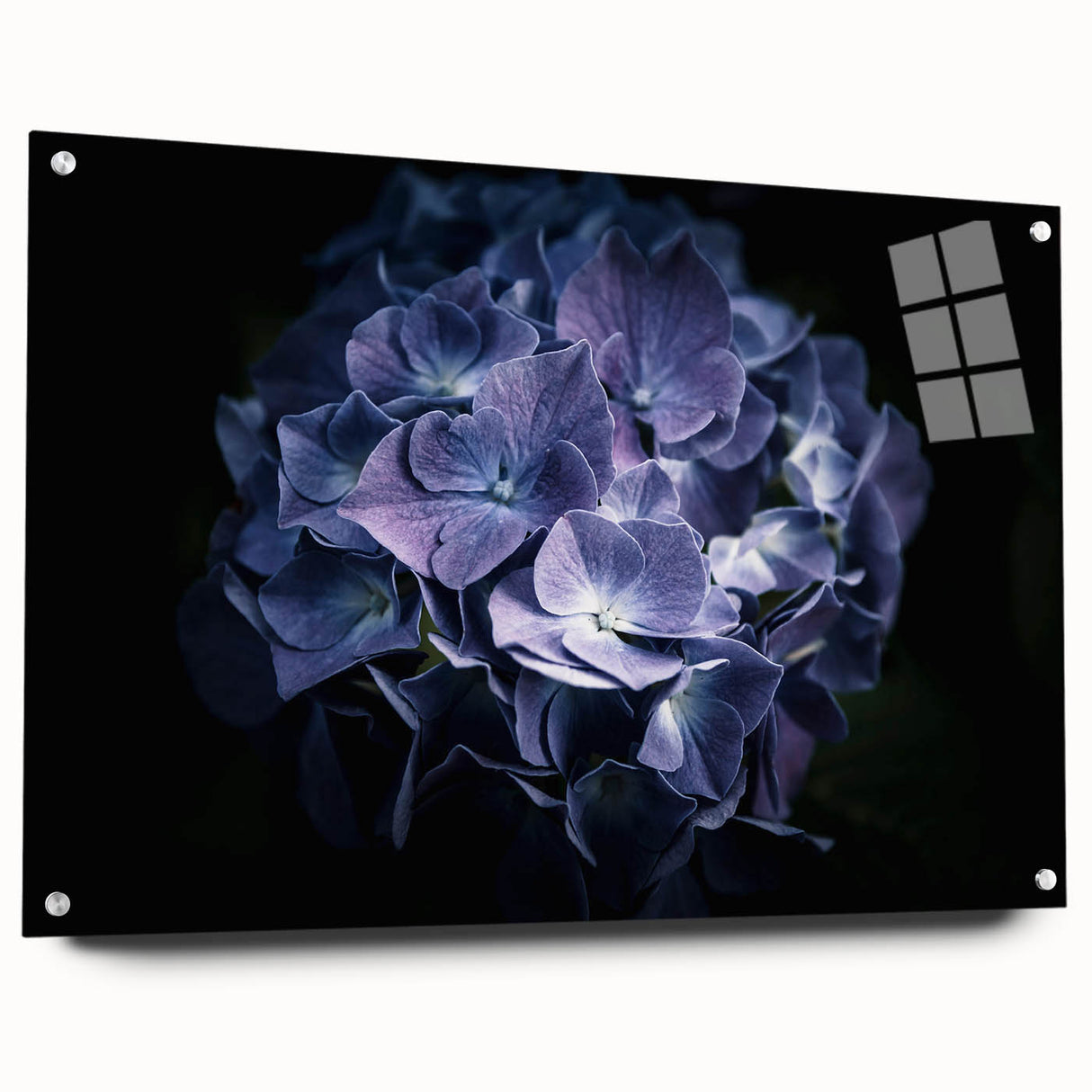 Elegant hydrangea wall art design displayed in a side view, featuring vibrant blue and green hues, framed in acrylic glass. Perfect for botanical decor enthusiasts.