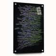 Acrylic glass wall art showcasing a botanical lavender design, highlighting delicate floral details in soft purple and green hues, elegantly displayed with pins.
