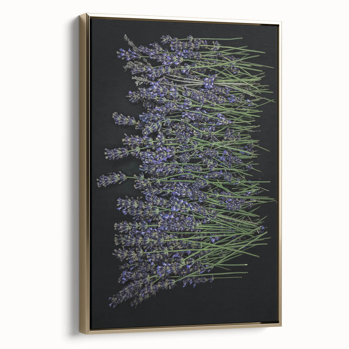 Framed botanical wall art featuring a vibrant lavender design with intricate floral details, showcased in a stylish gold frame, perfect for home decor enhancement.