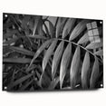 Botanical wall art collection showcasing vibrant floral and leaf designs printed on acrylic glass, elegantly displayed with decorative pins. Perfect for enhancing modern home decor.