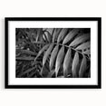 Framed botanical wall art featuring a vibrant floral and leaf design in black and white, showcasing intricate details and textures, perfect for home decor.