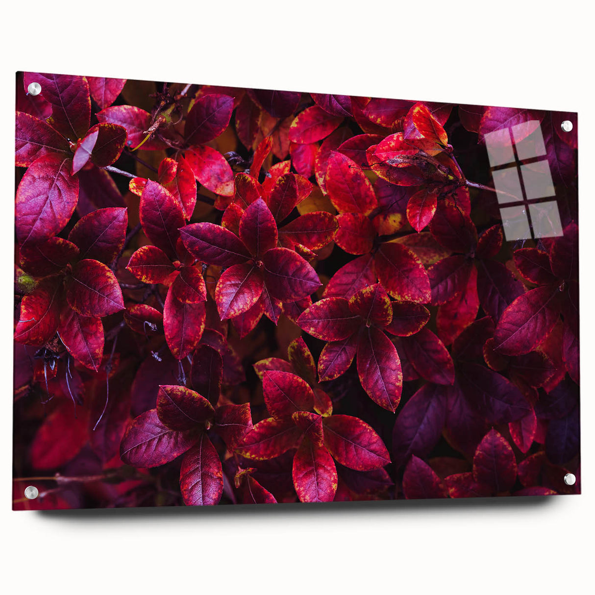 Acrylic glass artwork showcasing a botanical leaves design, elegantly displayed from the side with decorative pins. Ideal for enhancing modern home decor with nature-inspired aesthetics.