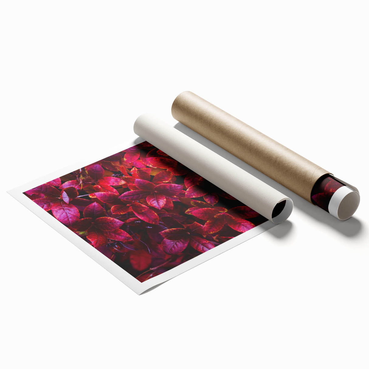 Botanical wall art print featuring an intricate design of colorful flowers and leaves, rolled for easy shipping and display, perfect for home decor.