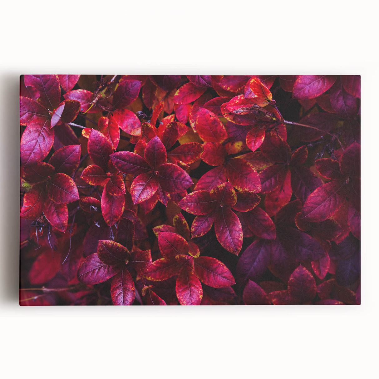 Stretched canvas wall art showcasing a vibrant botanical leaves design in green and gold tones, perfect for adding a natural touch to home decor.