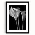 Framed botanical wall art featuring a vibrant lily design in a black frame with a mat, ideal for home decor. Perfect for floral enthusiasts and art lovers.