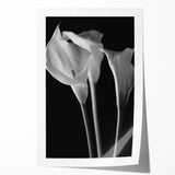 Botanical wall art featuring a vibrant lily design on a rolled canvas print, showcasing intricate details and rich colors, ideal for home decor enhancement.