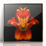 Framed botanical wall art featuring a vibrant gold-accented lily design on acrylic, showcasing intricate details, ideal for modern home decor.