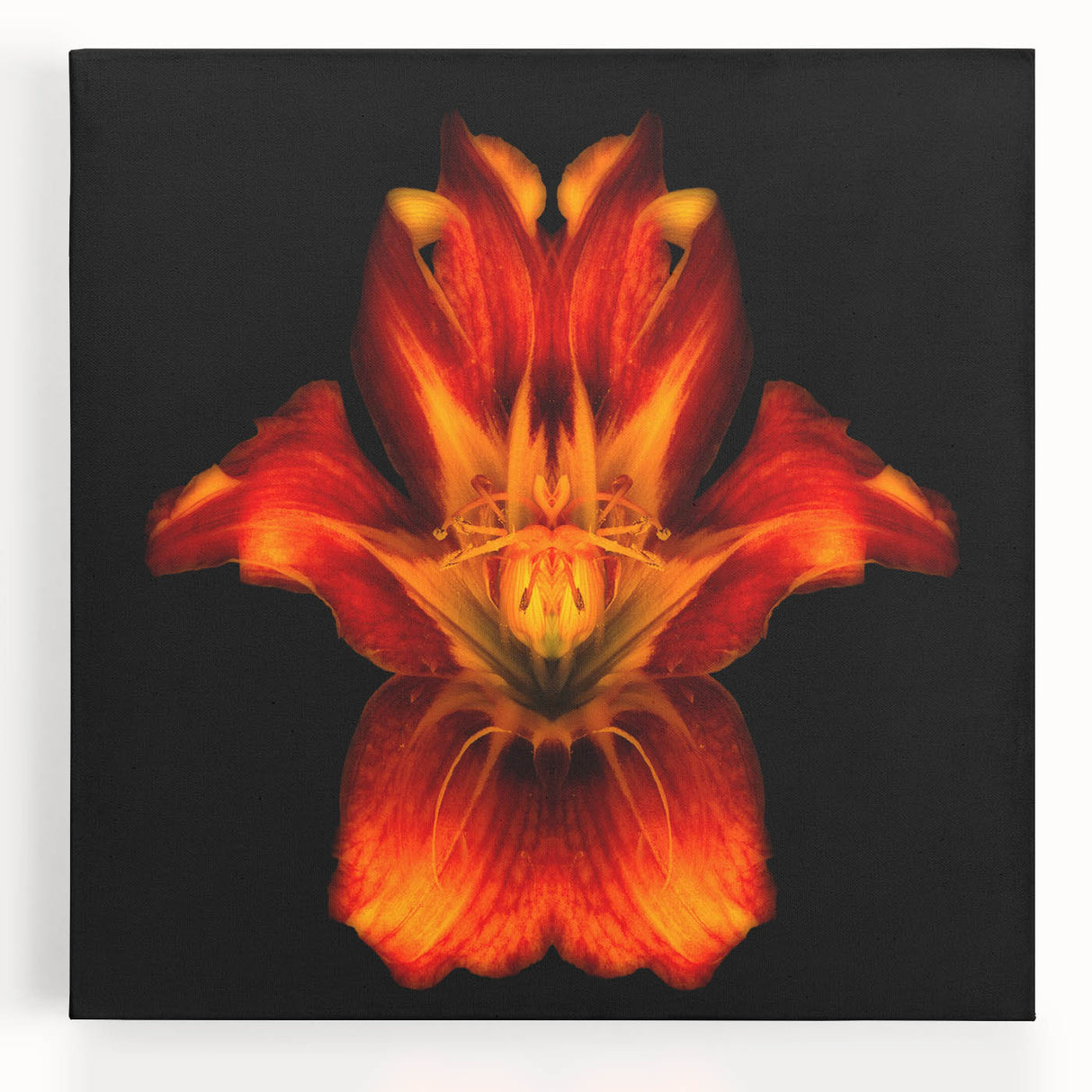 Stretched canvas wall art showcasing a vibrant botanical lily design with intricate details and rich colors, perfect for home decor and floral-themed interiors.