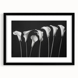 Black-framed wall art featuring a botanical lily design, showcasing intricate floral details and vibrant colors, ideal for enhancing home décor with a natural touch.