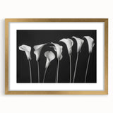 Botanical wall art collection featuring a gold-framed lily design, elegantly matted, showcasing vibrant colors and intricate details for home decor enhancement. Perfect for floral enthusiasts and modern interiors.