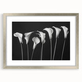 Botanical wall art collection featuring a silver-framed lily design with a mat, showcasing delicate floral details and elegant styling, perfect for home decor.