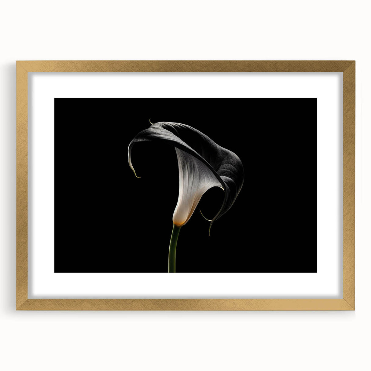 Elegant botanical wall art featuring a gold-framed lily design, perfect for home decor. The artwork is set in a chic mat, enhancing its aesthetic appeal.