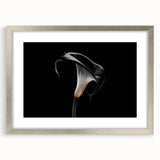 Botanical wall art collection featuring a silver-framed lily design with a mat, showcasing delicate floral details and elegant presentation. Ideal for home decor.