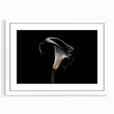 White-framed botanical wall art collection featuring a delicate lily design, ideal for home decor, with a sleek mat for an elegant touch. Perfect for flower enthusiasts.