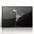 Framed botanical wall art featuring a detailed lily design in vibrant colors, set against a sleek black frame, perfect for home decor enhancement.