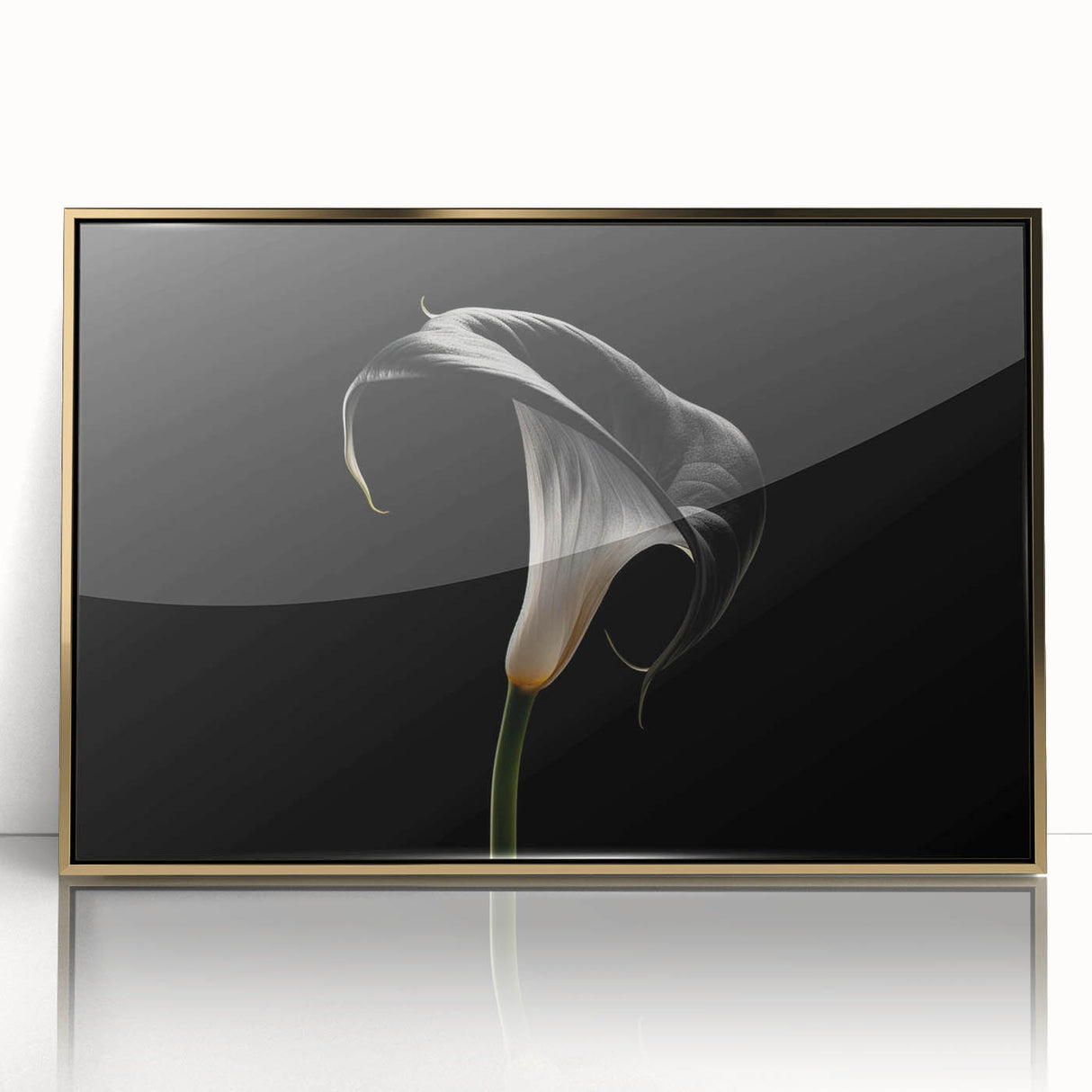 Framed botanical wall art featuring a stunning gold-accented lily design, showcasing vibrant colors and intricate details, perfect for enhancing home decor.