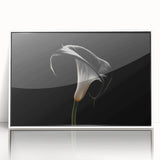 Framed wall art featuring a botanical lily design on a white background, showcasing vibrant colors and intricate details, perfect for home decor enhancement.