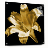 Acrylic glass wall art showcasing a botanical lily design, featuring vibrant colors and intricate details, displayed from a side view with decorative pins for mounting. Perfect for enhancing home decor with a touch of nature-inspired elegance.