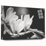 Elegant botanical wall art design featuring magnolia flowers, displayed in an acrylic glass frame with pins, showcasing vibrant colors and intricate details. Ideal for enhancing home decor with a touch of nature's beauty.