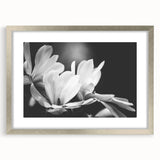 Framed botanical wall art showcasing a delicate magnolia design in silver tones, complete with a mat, perfect for enhancing home decor with elegance.