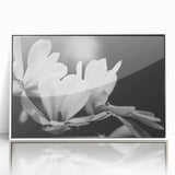 Framed acrylic wall art featuring a botanical magnolia design, set against a white background, showcasing intricate floral details and vibrant colors. Perfect for home decor.