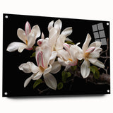 Elegant botanical wall art featuring a magnolia design in vibrant colors, displayed in a sleek acrylic frame with pins, ideal for enhancing home decor.