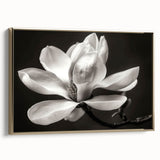 Framed canvas wall art showcasing a botanical magnolia design in soft pinks and greens, elegantly bordered with gold for a sophisticated touch, ideal for home decor.