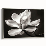 Framed botanical wall art showcasing a magnolia design in silver, highlighting intricate floral details against a textured background, perfect for home decor.