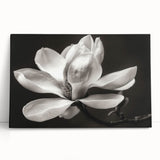 Stretched canvas featuring a botanical design of magnolia flowers in soft pastel colors, elegantly leaning against a neutral wall, perfect for home decor.