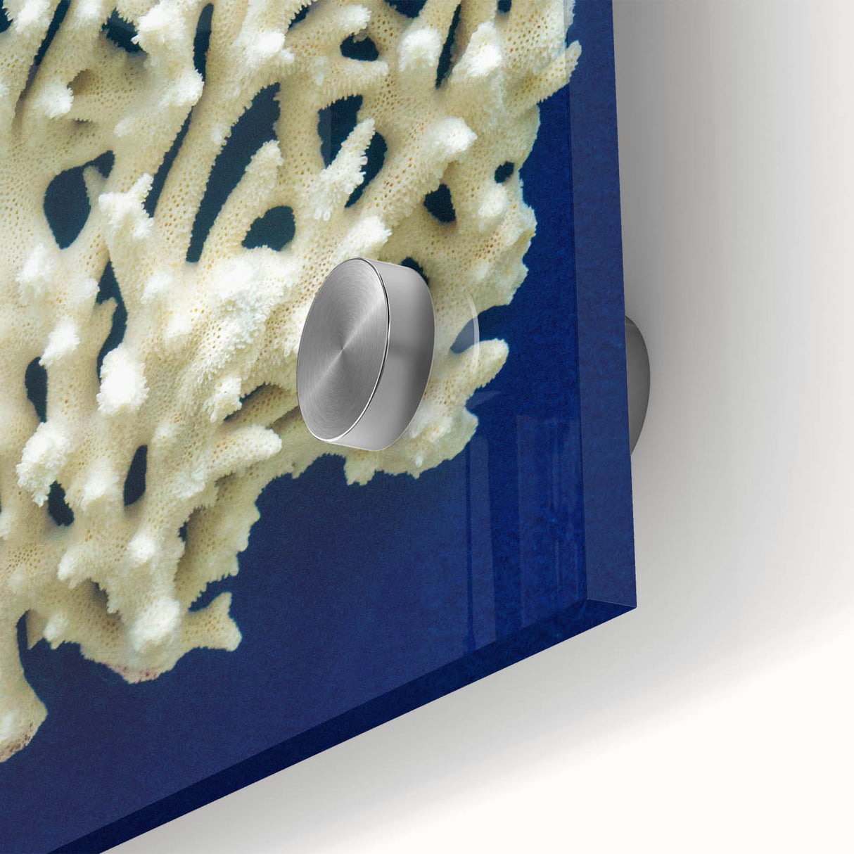 Close-up of a botanical marine plants wall art design, showcasing vibrant colors and intricate details of aquatic flora on acrylic glass, ideal for coastal decor.