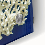 Close-up of a botanical marine plants wall art design, showcasing vibrant colors and intricate details of aquatic flora on acrylic glass, ideal for coastal decor.