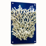 A side view of a vibrant botanical wall art collection featuring marine plants, elegantly displayed in an acrylic glass frame with visible mounting pins.