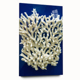 Botanical marine plants wall art design displayed in acrylic glass, showcasing vibrant colors and intricate details, ideal for ocean-themed decor.