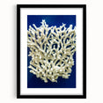 Botanical wall art display featuring vibrant marine plants in a sleek black frame with matting, ideal for enhancing modern home decor with nature-inspired aesthetics.