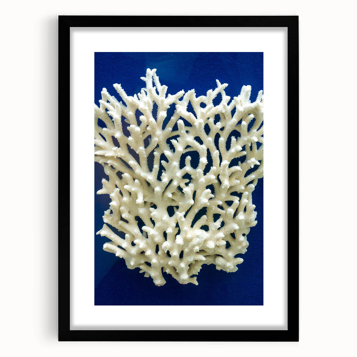 Botanical wall art display featuring vibrant marine plants in a sleek black frame with matting, ideal for enhancing modern home decor with nature-inspired aesthetics.