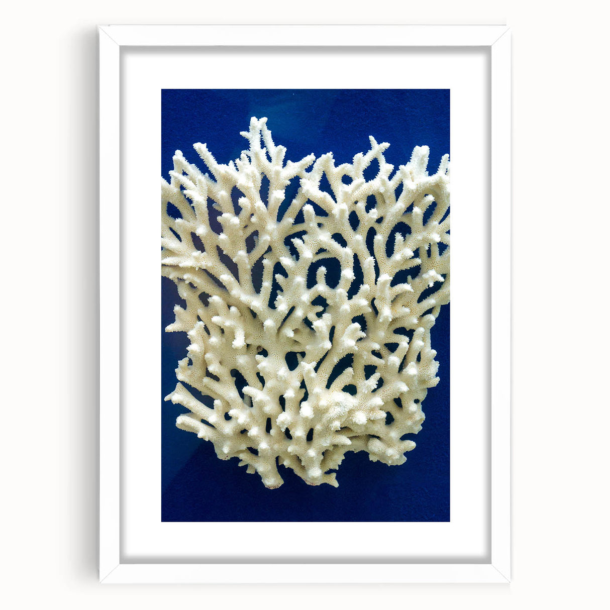 Botanical wall art featuring a vibrant marine plants design, framed with a white mat, showcasing intricate floral details and colors, perfect for home decor.