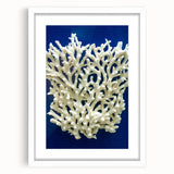 Botanical wall art featuring a vibrant marine plants design, framed with a white mat, showcasing intricate floral details and colors, perfect for home decor.