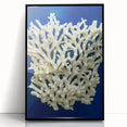 Framed wall art featuring a botanical design of marine plants against a black background, highlighting intricate details and vibrant colors, ideal for modern decor.