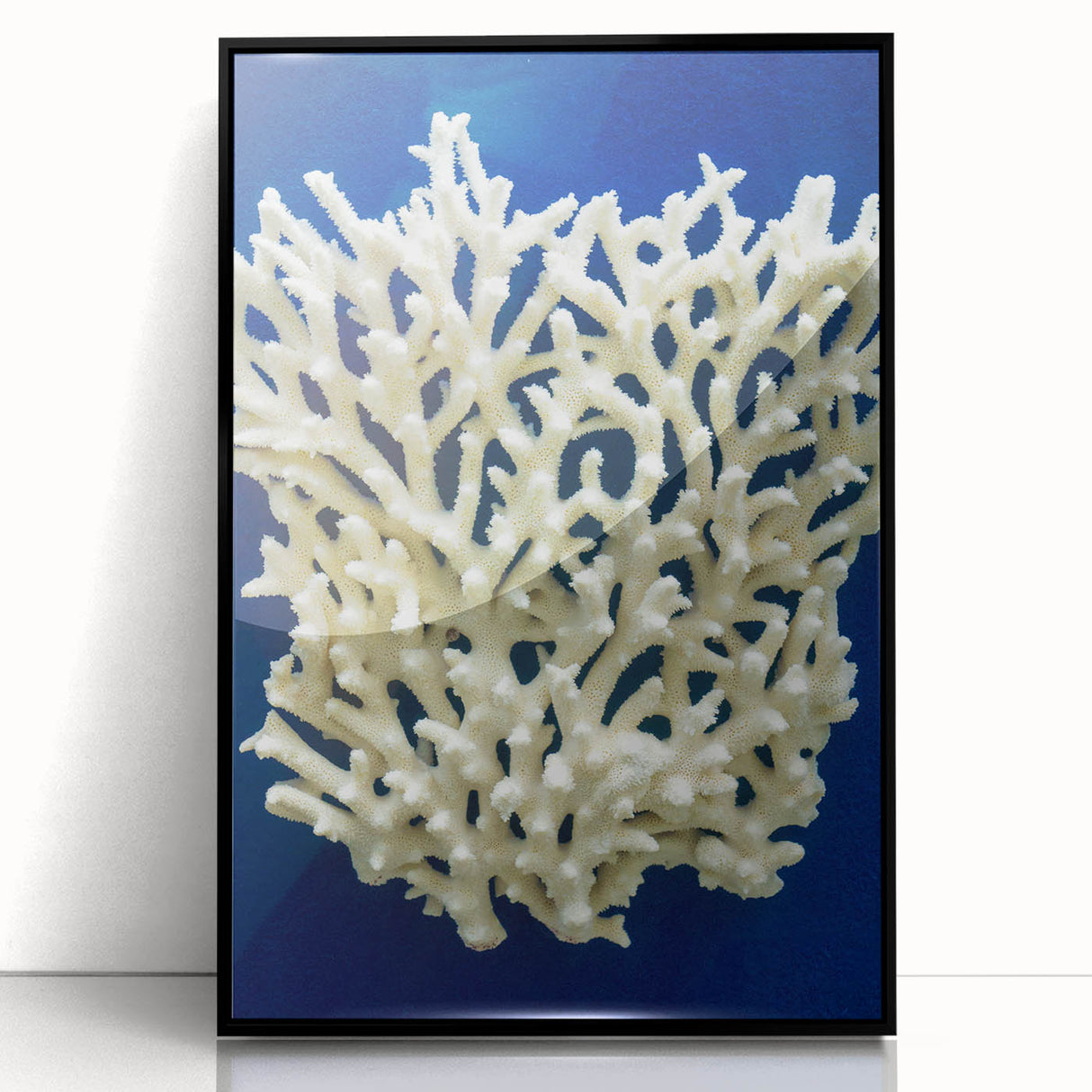 Framed wall art featuring a botanical design of marine plants against a black background, highlighting intricate details and vibrant colors, ideal for modern decor.