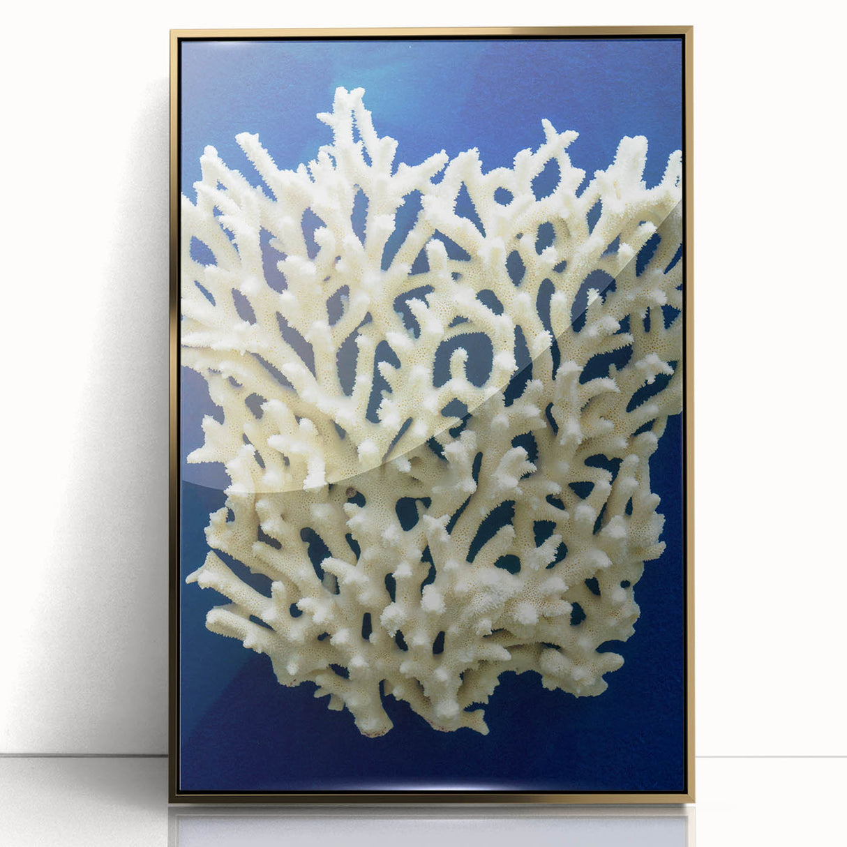 Framed wall art featuring a botanical design of marine plants in gold accents, showcasing intricate details and vibrant colors, ideal for coastal decor.